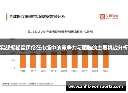 实战揭秘霍伊伦在市场中的竞争力与面临的主要挑战分析