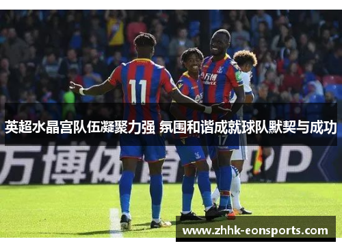 英超水晶宫队伍凝聚力强 氛围和谐成就球队默契与成功